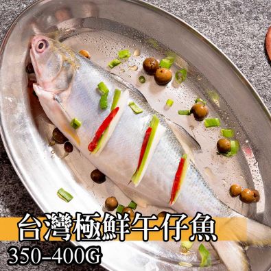 台灣極鮮午仔魚350g-400g